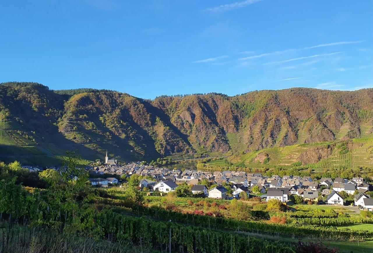 Attraktive Wohnung-Elztalidyll-Zwischen Mosel,Nuerburgring Und Burg Eltz Kollig Eksteriør bilde